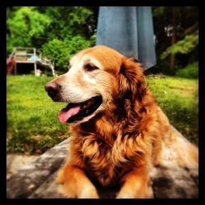 Meet your Posher, Barbara